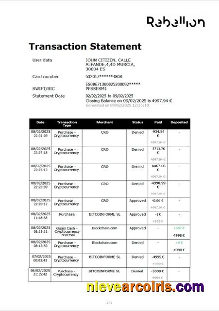 Spain Rebellion Pay transaction statement Word and PDF